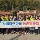 대청농협 이미지