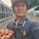 신선팜스 이미지