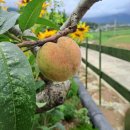 해남여행민박 이미지