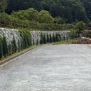 [전남/해남] 전라남도 제28호 민간정원, ‘비원’-카페 다녀온 후기🌳