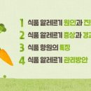 학교식품