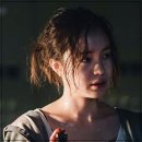 아다마스 이미지