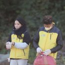외치도 Daum카페