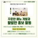 꼬마아닌꼬마김밥 이미지