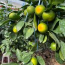 거산농장 이미지