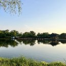 백제해장국 이미지