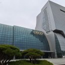 페르모사경주 | 2024 창원 펫친소 펫페어 방문 후기