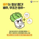 우리채소 - 부산진구 중앙번영로20번길 29 | 우리채소