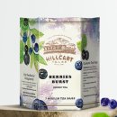 테일즈힐 이미지