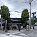 두룩 | 거제도 배말칼국수김밥 & 두룩 카페 후기