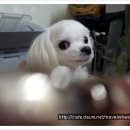예삐