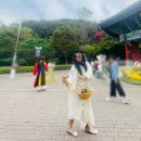 한국지엠영광바로서비스 | 영광불갑산상사화축제