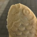 박쓰리오뎅 네이버블로그