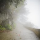 포항여객선터미널 이미지