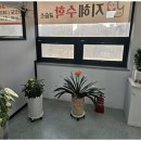 수학의지혜수학교습소