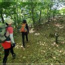 내곡동416 이미지