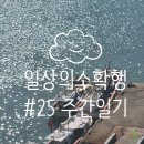 팬플룻연주그룹 팬타곤 | [주간 일기] #25 나만의 작은 휴가_전라도 기차 여행 │할머니 댁에서의 힐링, 장흥 물축제 편백숲 우드...