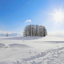 홋카이도 이미지