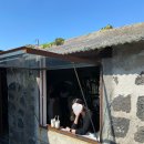 더그라스 이미지