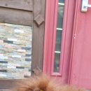 미미펫 그루밍 샵 이미지