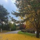 경춘선 자전거도로10 이미지