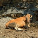 괴곡리 마을회관 이미지