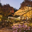 (주)카우보이그릴 이미지