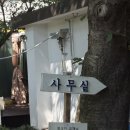 강화도 펜션 추천ㅣ비버리힐즈펜션 독채·애견동반, 수영장·바베큐 후기