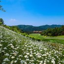 뉴스프링빌2CC 티스토리