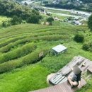 돌팀이횟집 이미지