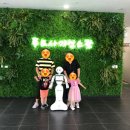 엔젤코바 이미지