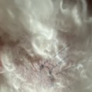 중계이오동물병원 이미지