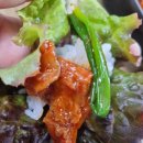 명천식당 | 벚꽃 따라 드라이브 중 들른 김제 명천식당, 제육볶음 후기