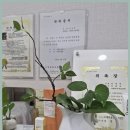 피부날다