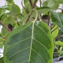 바리스타 교실(야간) 이미지