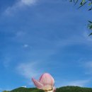 명가식품 이미지