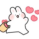 꽃나래 디자인 이미지
