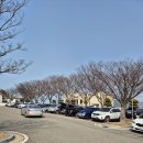 일곡골프하우스 | 영광파크골프장(한빛파크골프장) 광주북구 매장 골마켓 일곡점