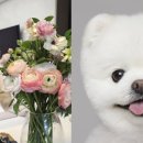 무지개다리 이미지