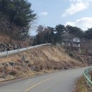 유천리 삼거리 이미지