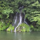 서종가든 이미지