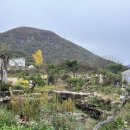 스테이 계림 이미지