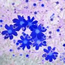 우리주차장 이미지