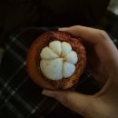 아쿠아타운 | 🌴 푸꾸옥 여행 2일차 코스 추천 | 혼똔섬 케이블카, 아쿠아토피아 워터파크, 선셋타운, 키스 오브 더 씨 쇼