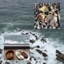 국도주유소 | 7번국도 울진 망양휴게소 맥반석 오징어 이걸 안 먹고 간다고?