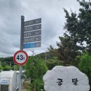 경마장오리집 이미지
