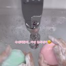 아 개귀엽다 동생이랑 비누계 하는 릴스를 봄 이미지