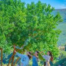 메밀꽃 화장실 이미지