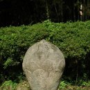 고성 연화산 옥천사