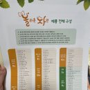 내돈내산 그레이트북스 놀라운자연 유아전집 자연관찰책 추천 솔직후기 구입시기 자연이랑비교
